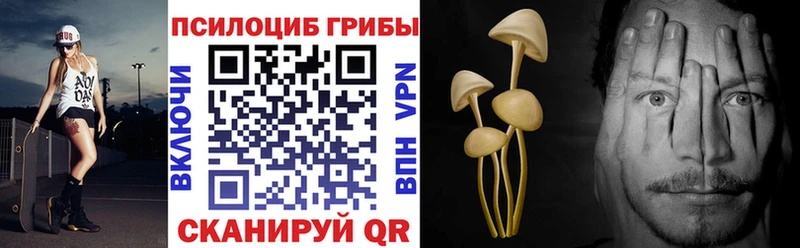 Псилоцибиновые грибы мицелий  Кушва 
