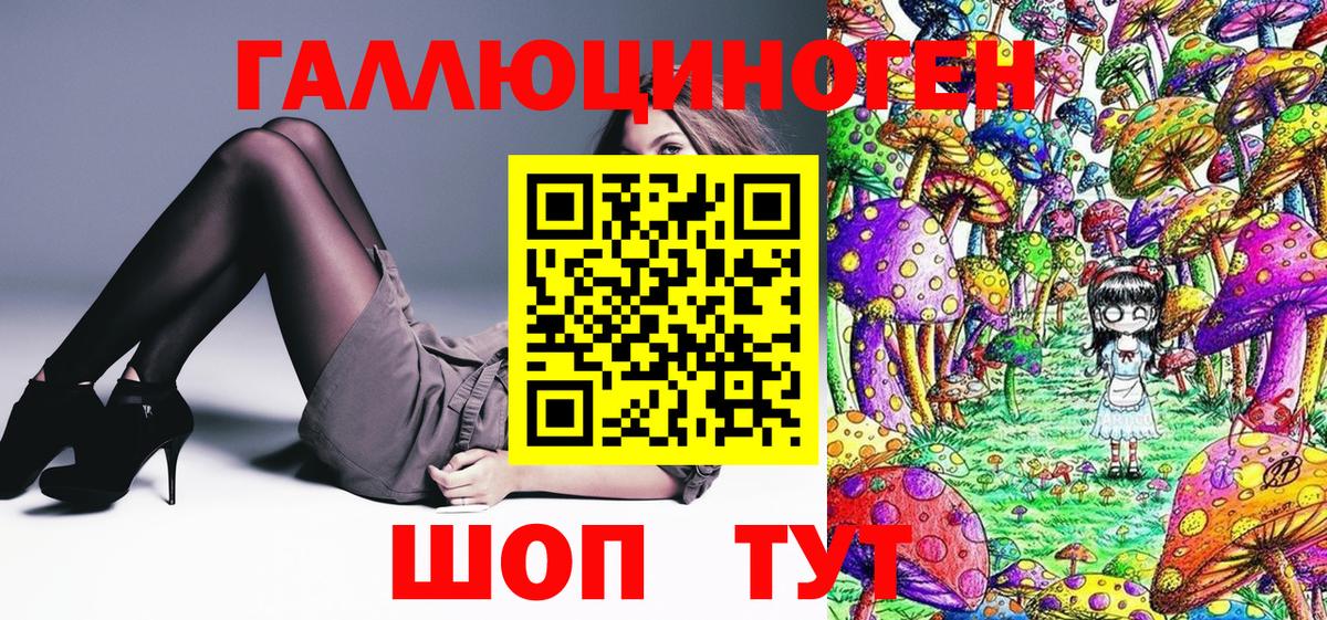 Кушва  Галлюциногенные грибы Psilocybine cubensis  Вход с VPN 